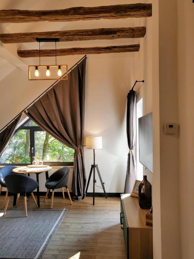 Casa Larisa Antonia Apartments Sinaia Exteriér fotografie