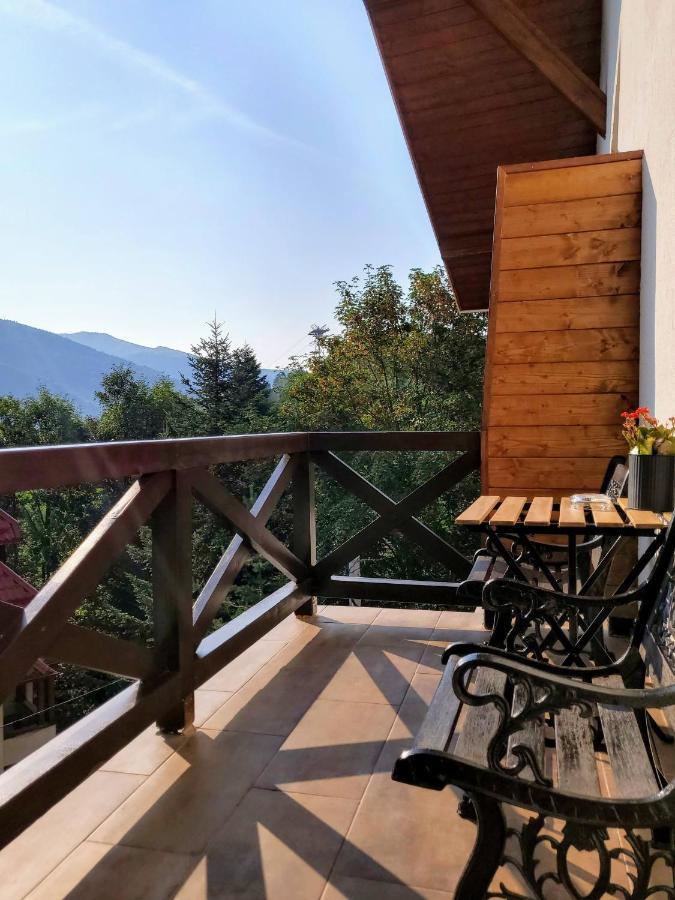 Casa Larisa Antonia Apartments Sinaia Exteriér fotografie