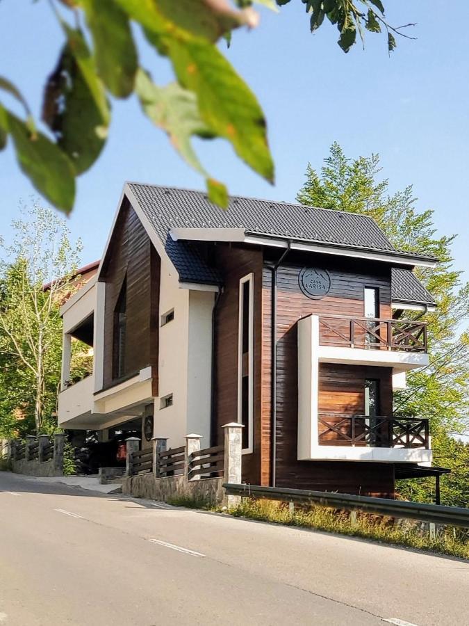 Casa Larisa Antonia Apartments Sinaia Exteriér fotografie