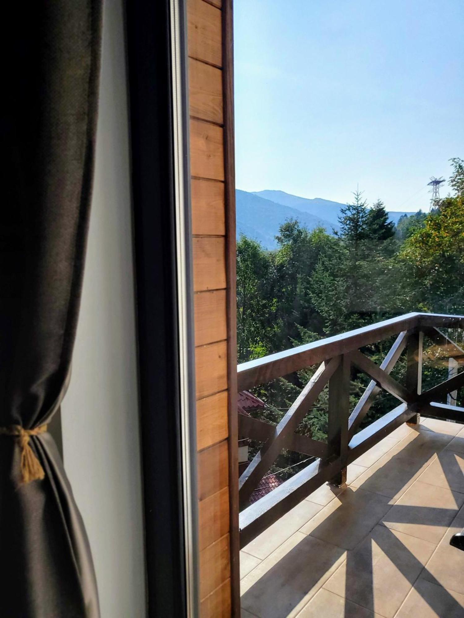 Casa Larisa Antonia Apartments Sinaia Exteriér fotografie